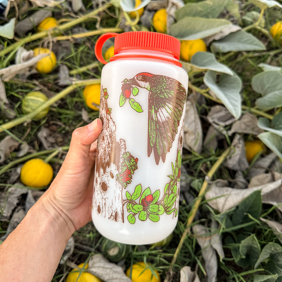 32oz Pasadena Audubon Nalgene: Chaparral