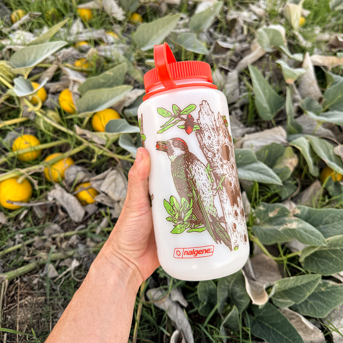 32oz Pasadena Audubon Nalgene: Chaparral