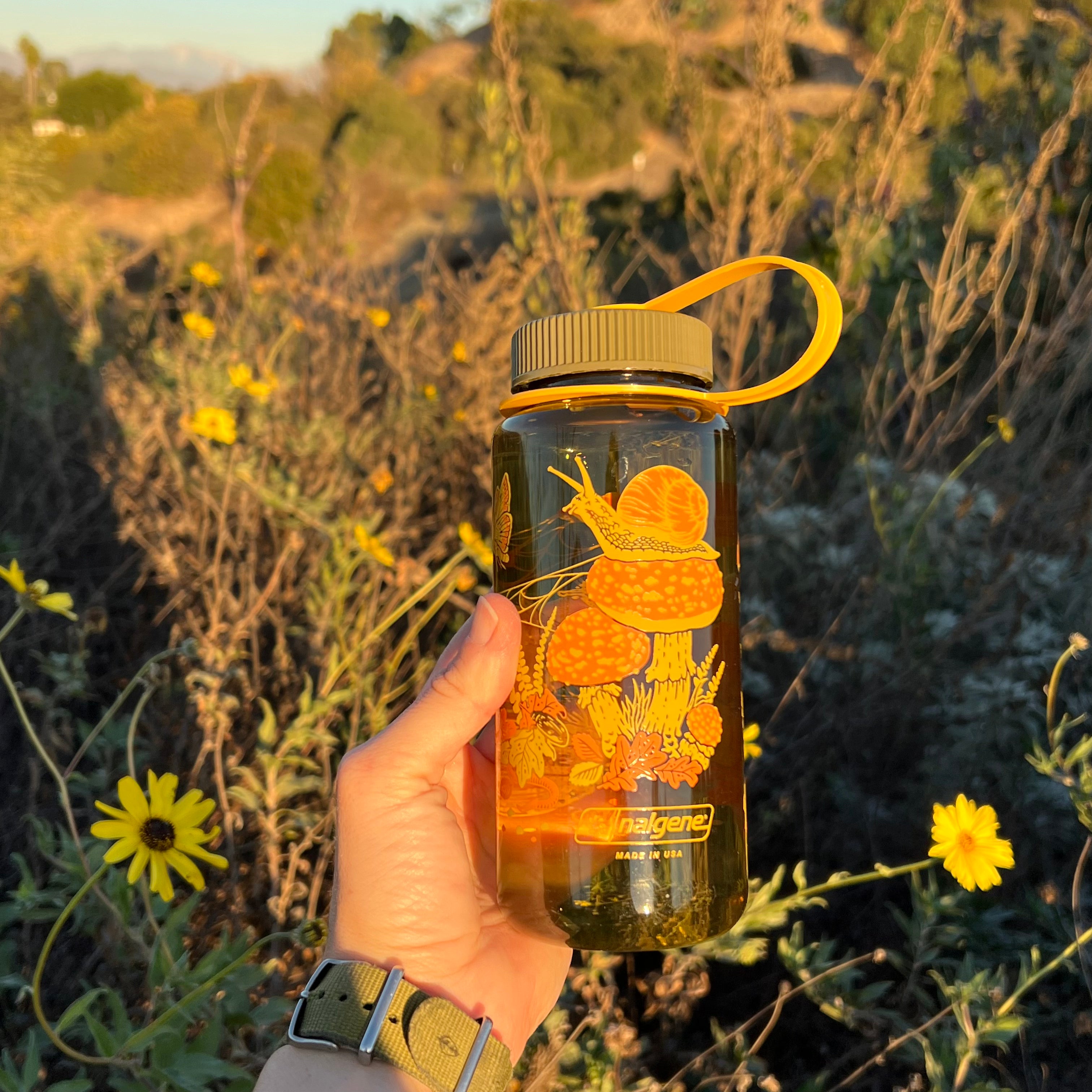 16oz Nalgene: Toad