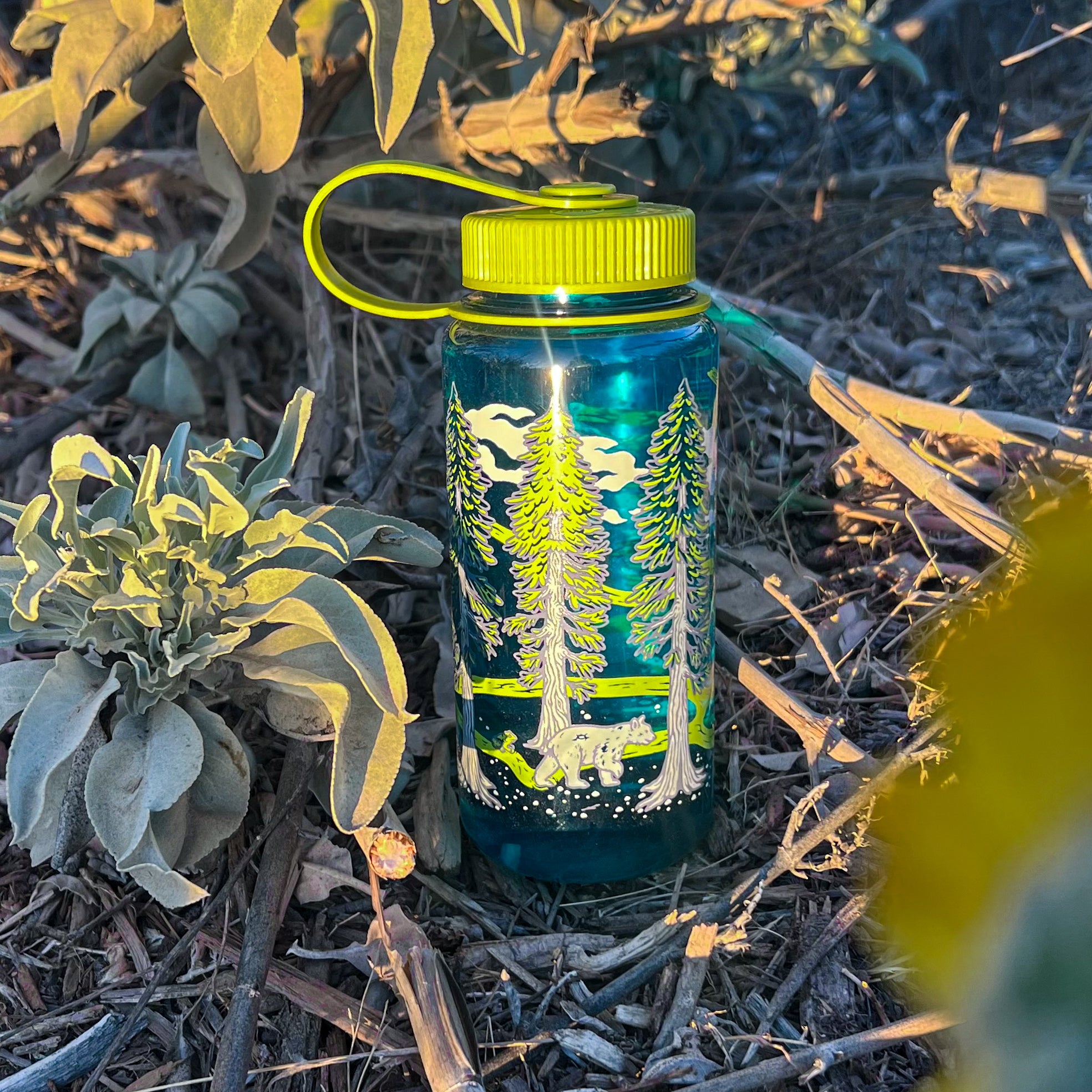 16oz Nalgene: Redwoods