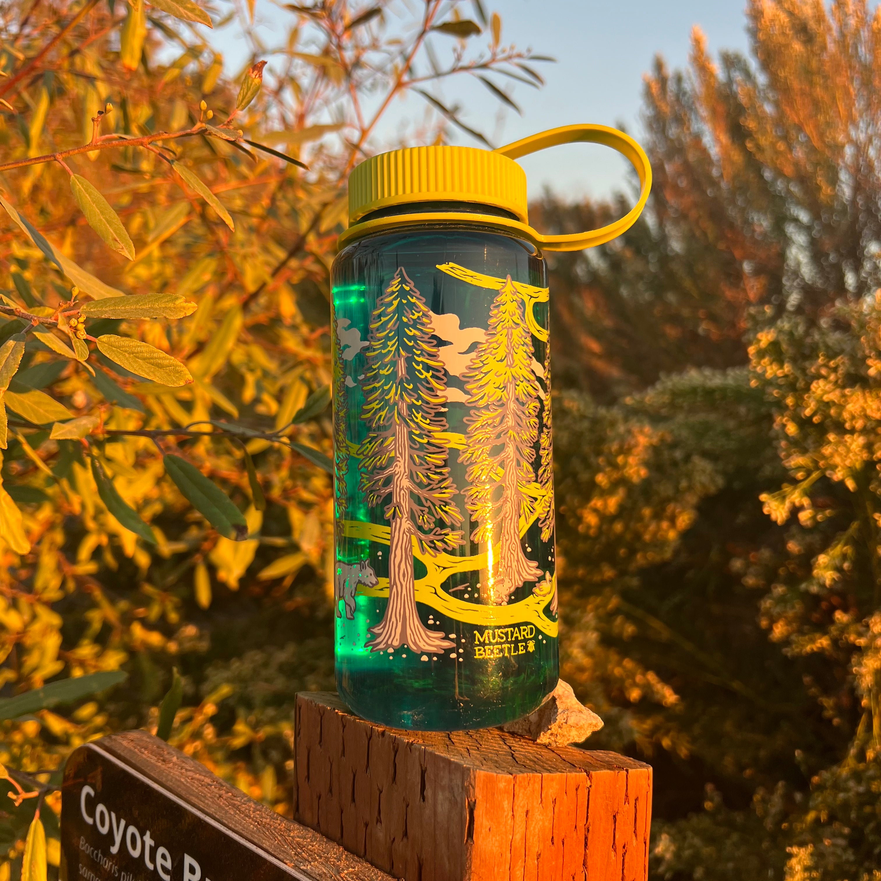 16oz Nalgene: Redwoods