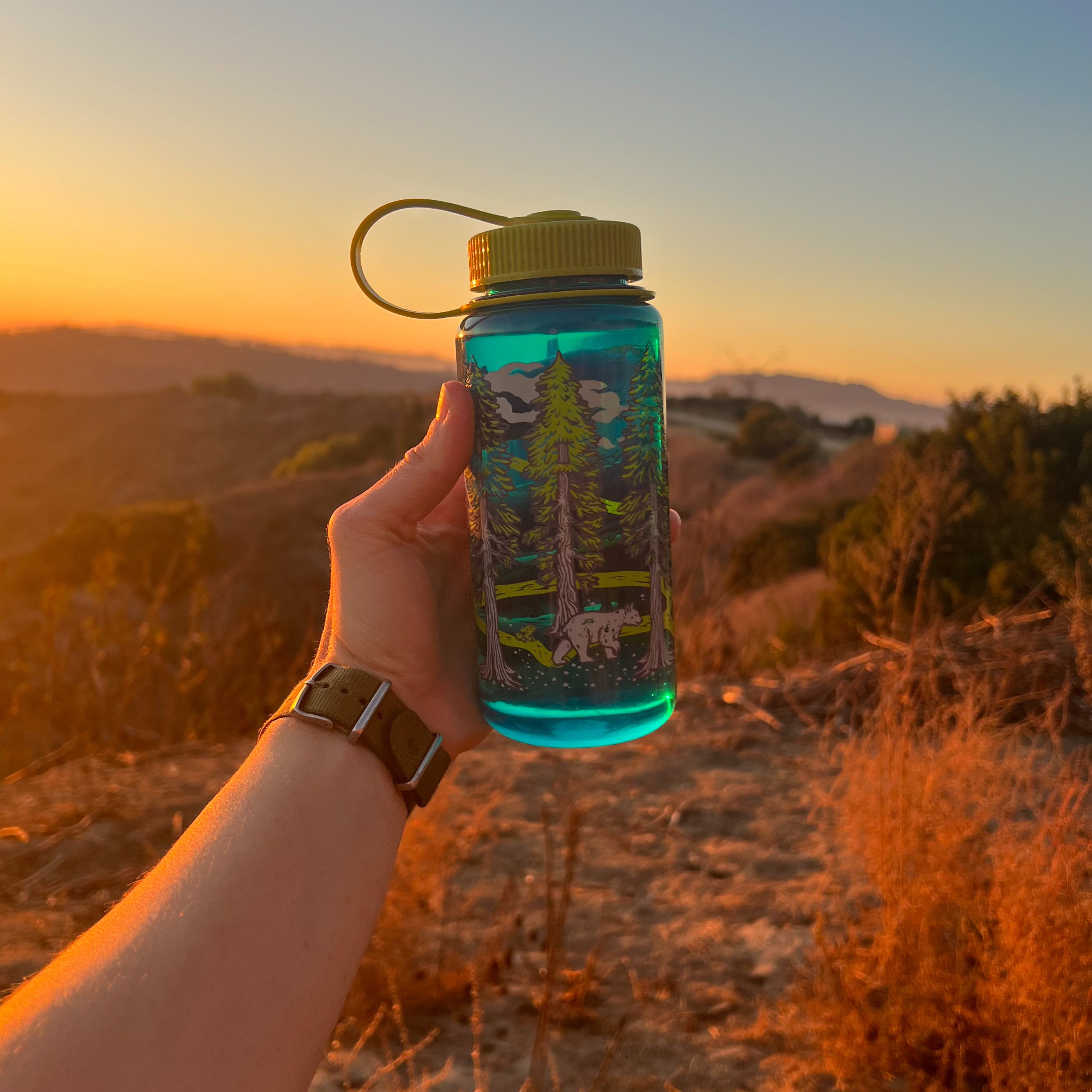 16oz Nalgene: Redwoods