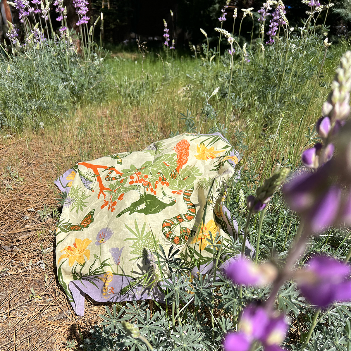 Organic Fair Trade Bandana: San Jacinto