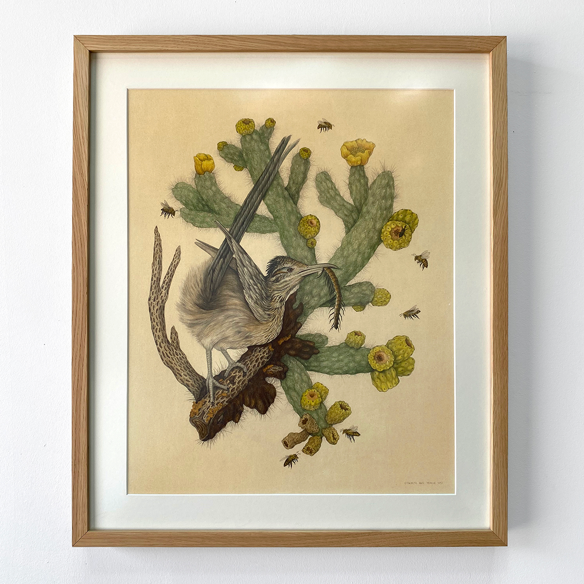 Fine Art Giclee Print: Saguaro National Park