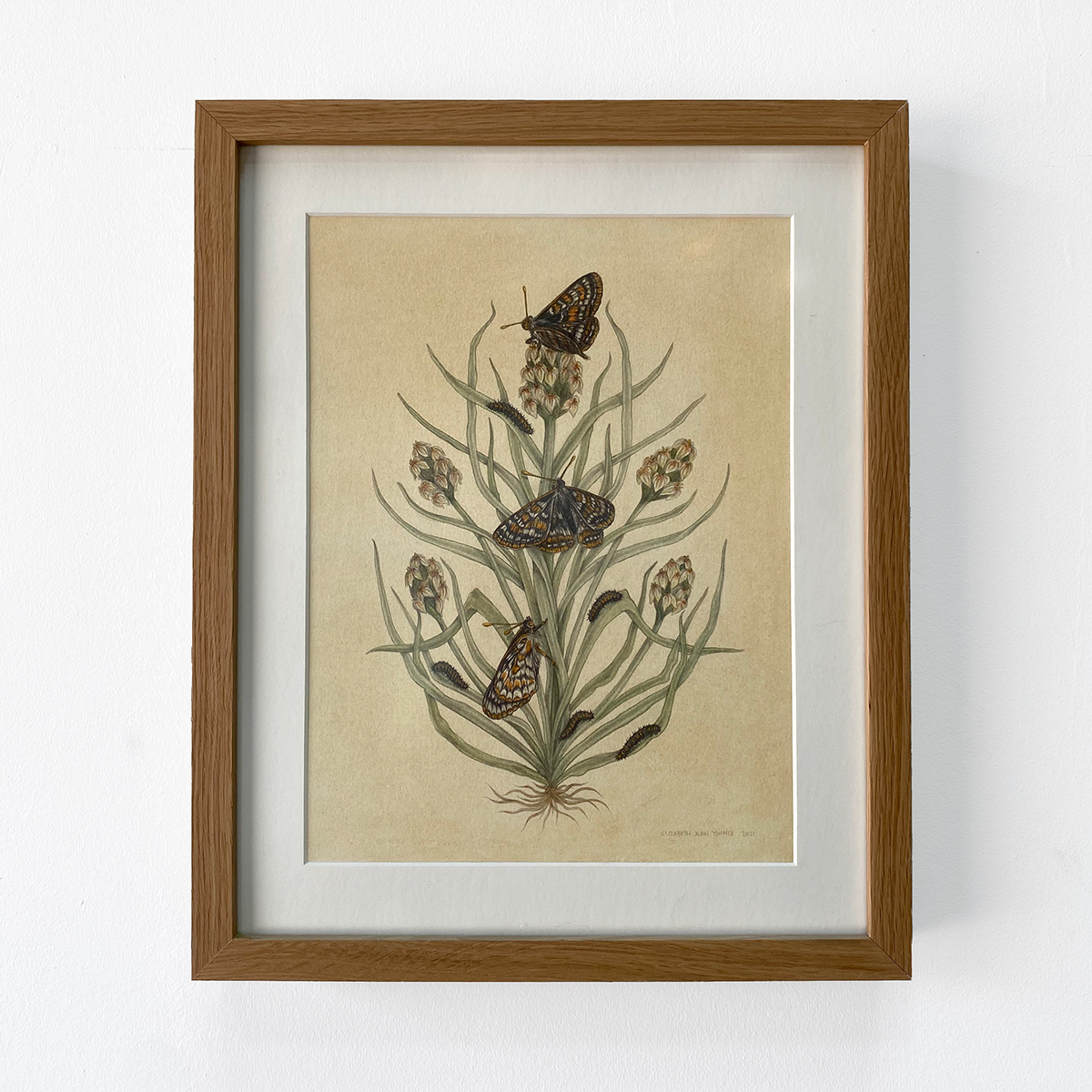 Fine Art Giclee Print: Bay Area Scientific Illustration