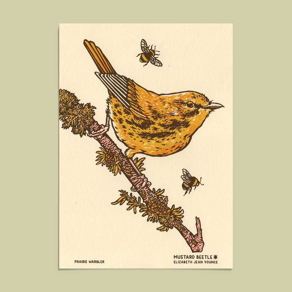 MBH_6x8_Mockup_prairie_warbler
