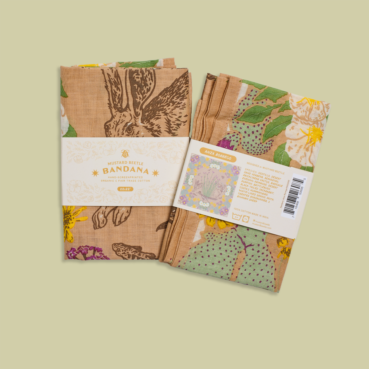 Organic Fair Trade Bandana: Anza Borrego