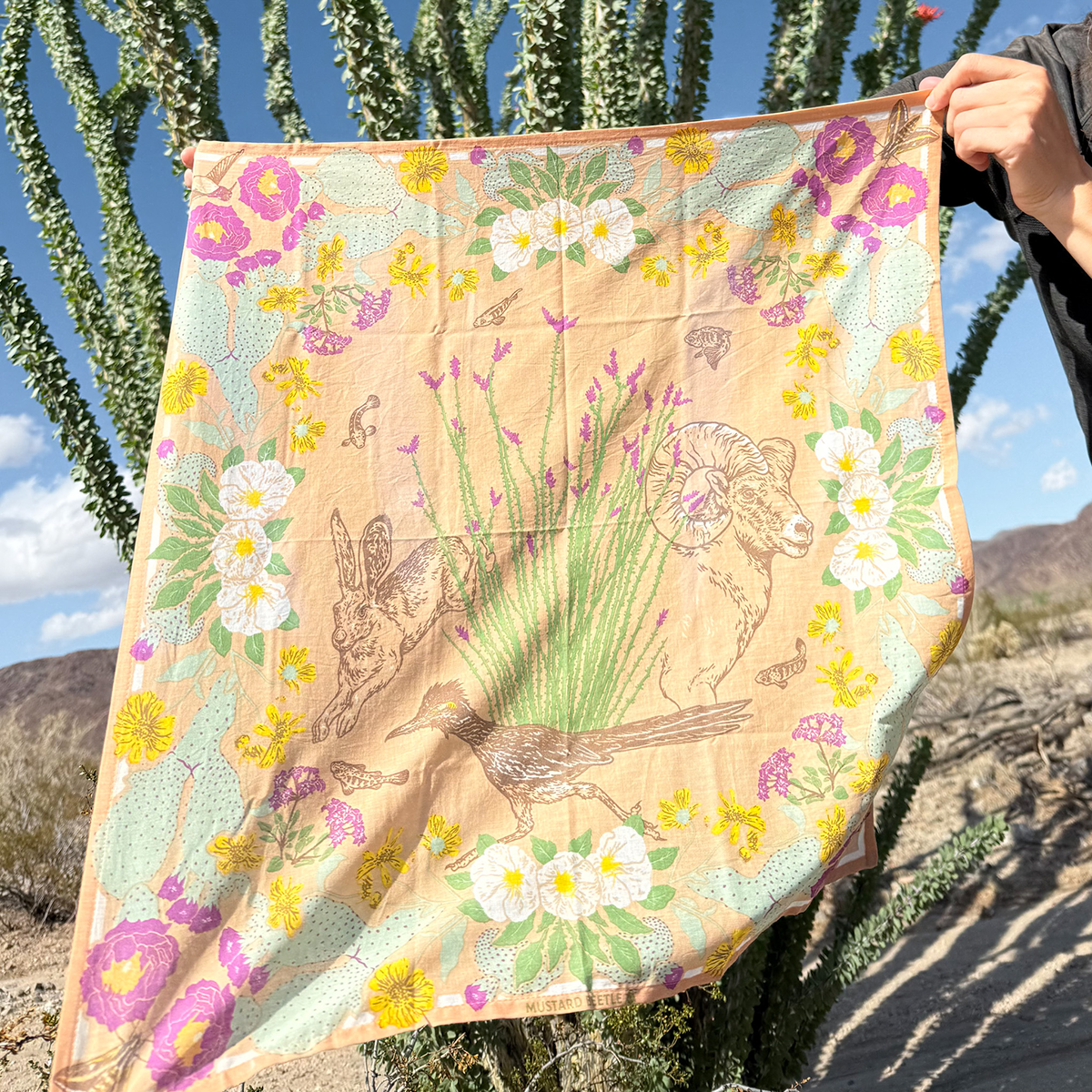 Organic Fair Trade Bandana: Anza Borrego