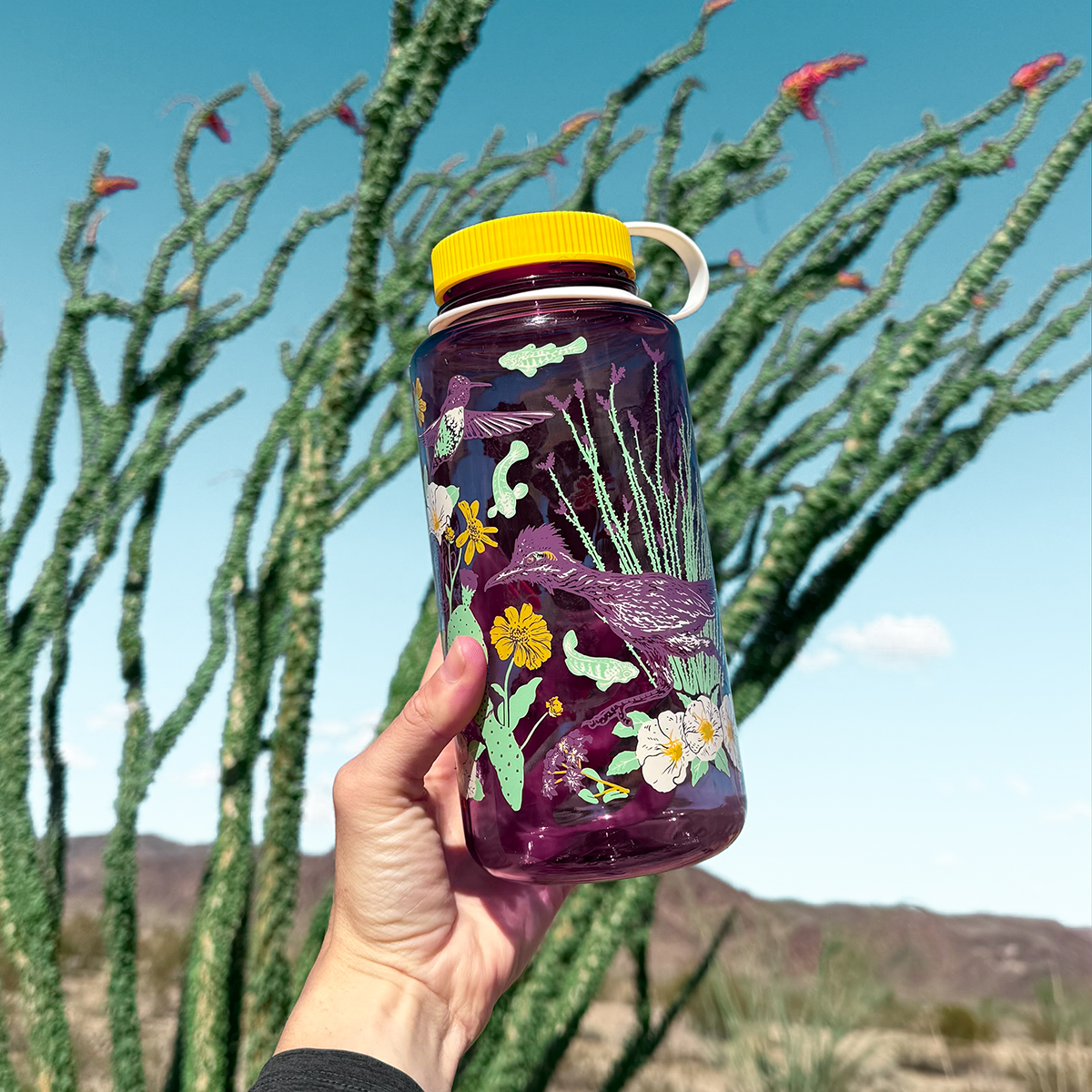 Nalgene 32oz: Anza Borrego