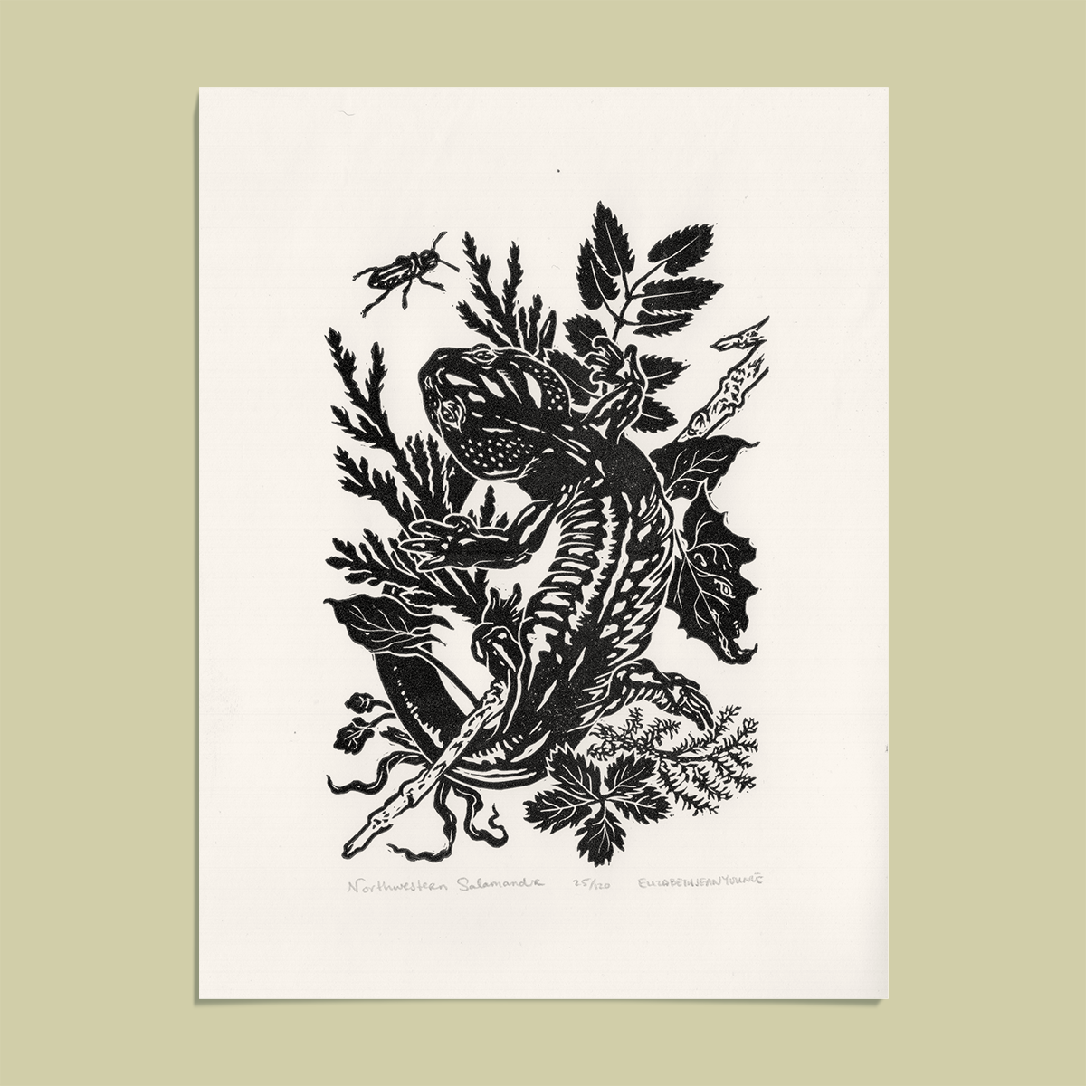 6x8" Fine Art Linocut Print: Northwestern Salamander