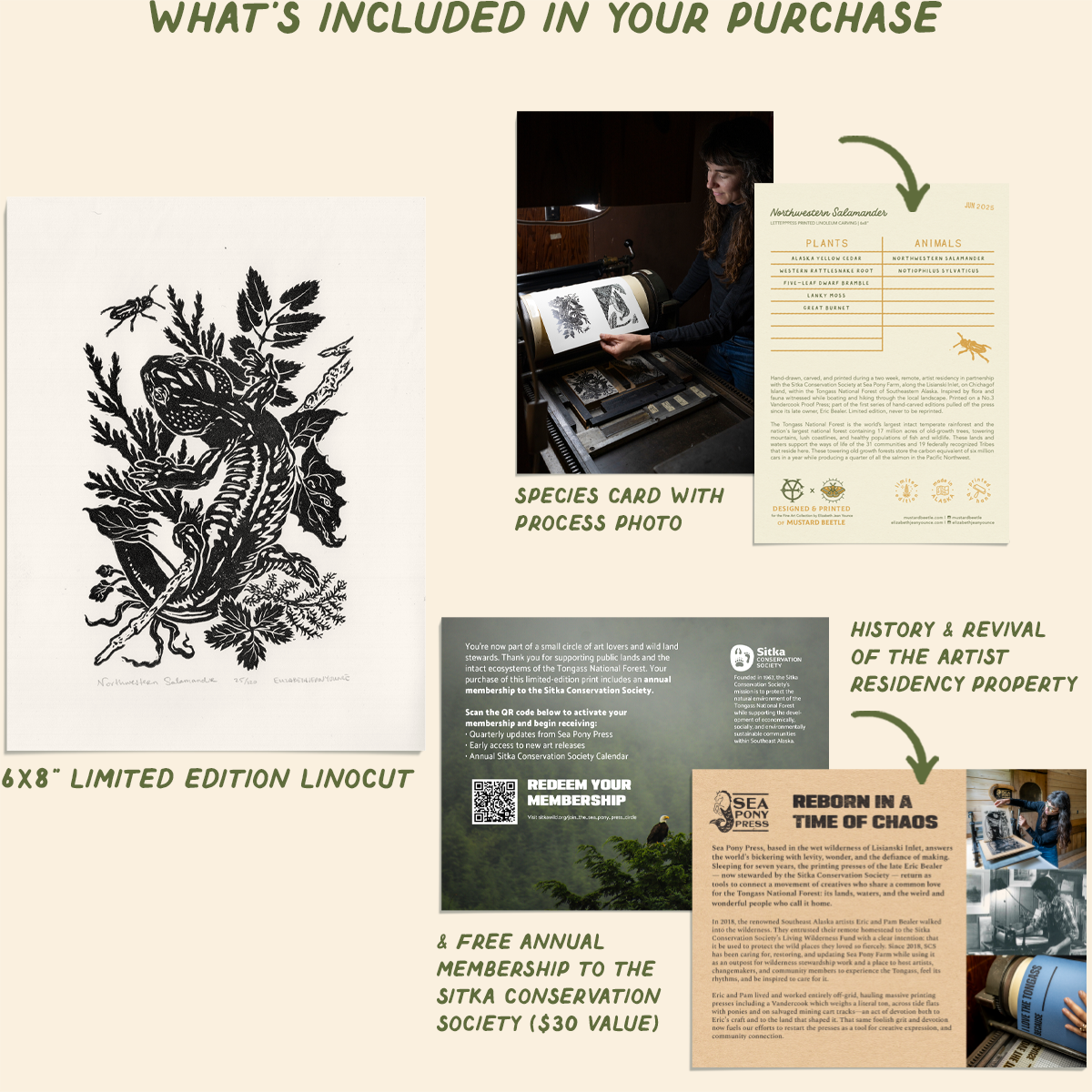 6x8" Fine Art Linocut Print: Northwestern Salamander