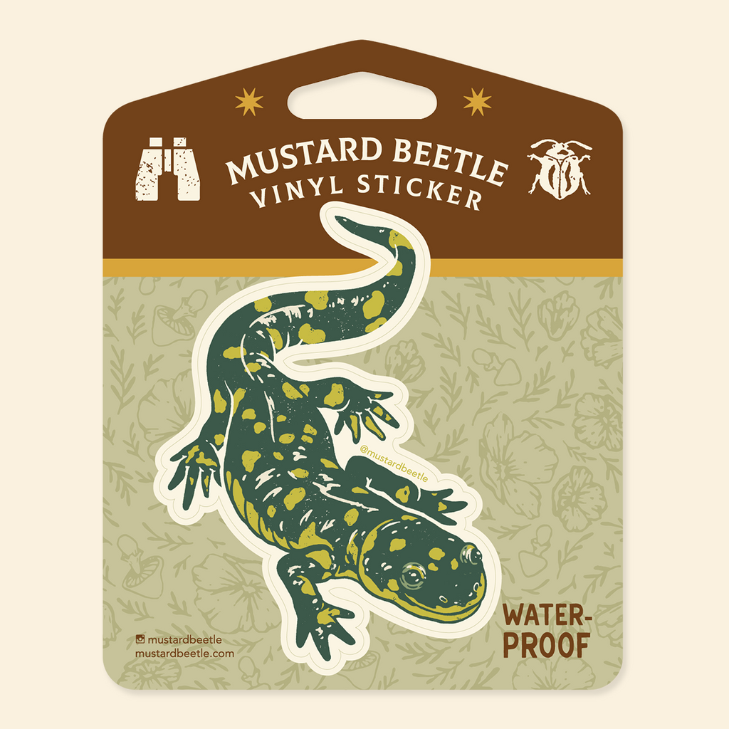 LIZARD/Same＋ステッカー【24bit デジタル・リマスタリング盤】 Sticker: Tiger Salamander