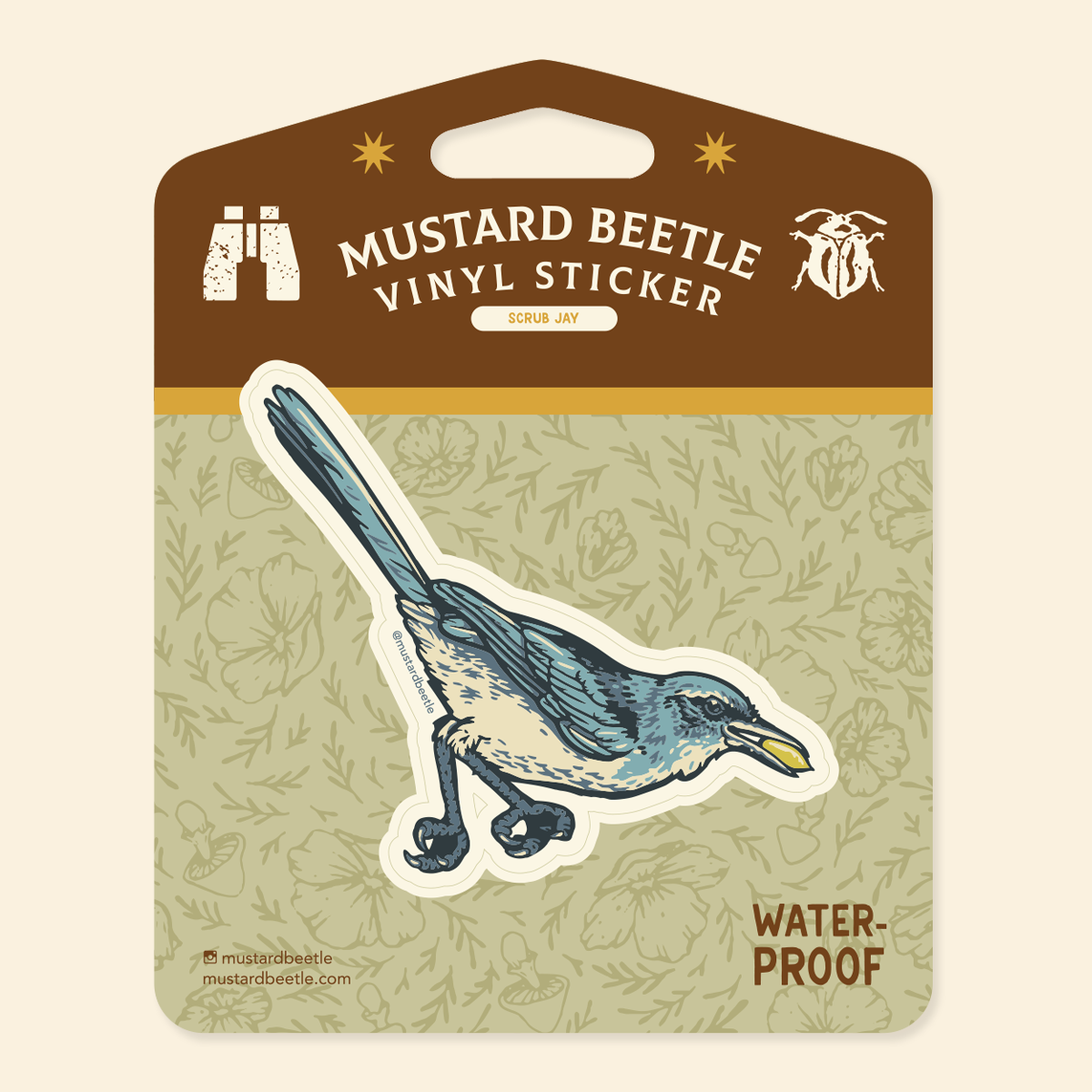 Sticker: Scrub Jay