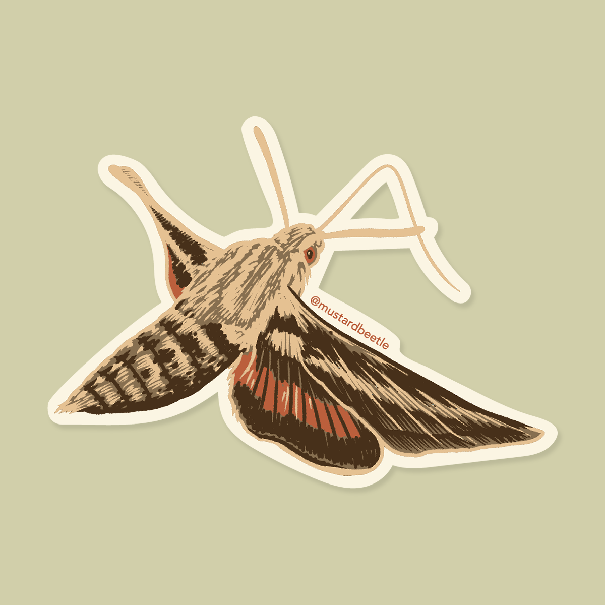 Sticker: White Lined Sphinx Moth