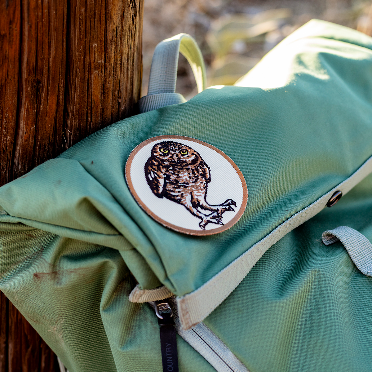 Iron on Patch: Burrowing Owl