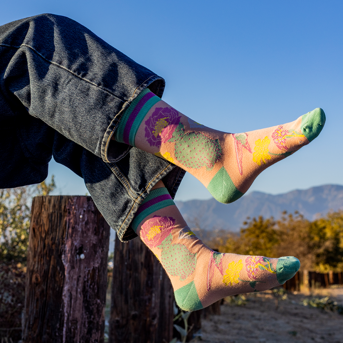 Crew Socks: Anza Borrego