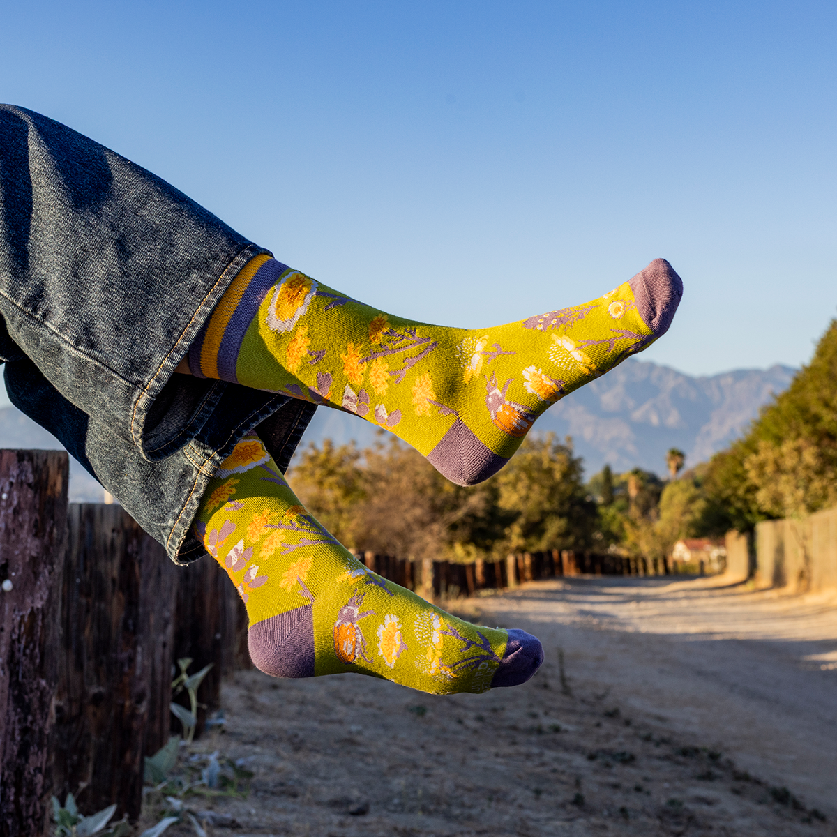 Crew Socks: Carrizo Plain