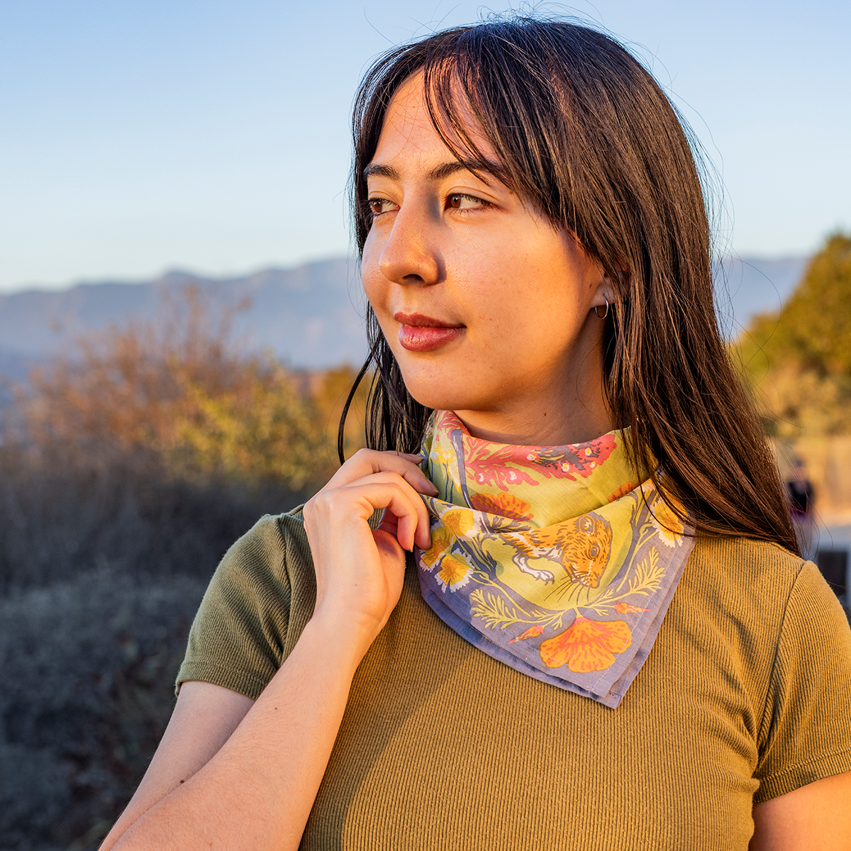 Organic Fair Trade Bandana: Carrizo Plain