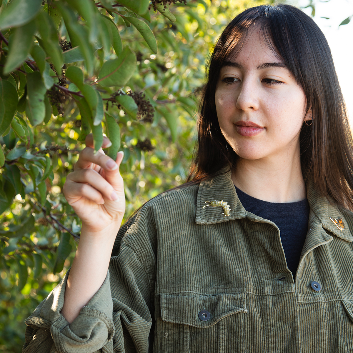 Enamel Pin: Monarch Caterpillar