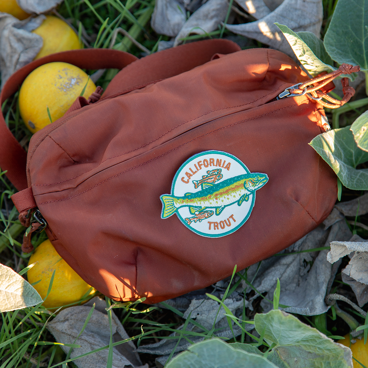 Iron on Patch: Steelhead & Arroyo Chub for CalTrout