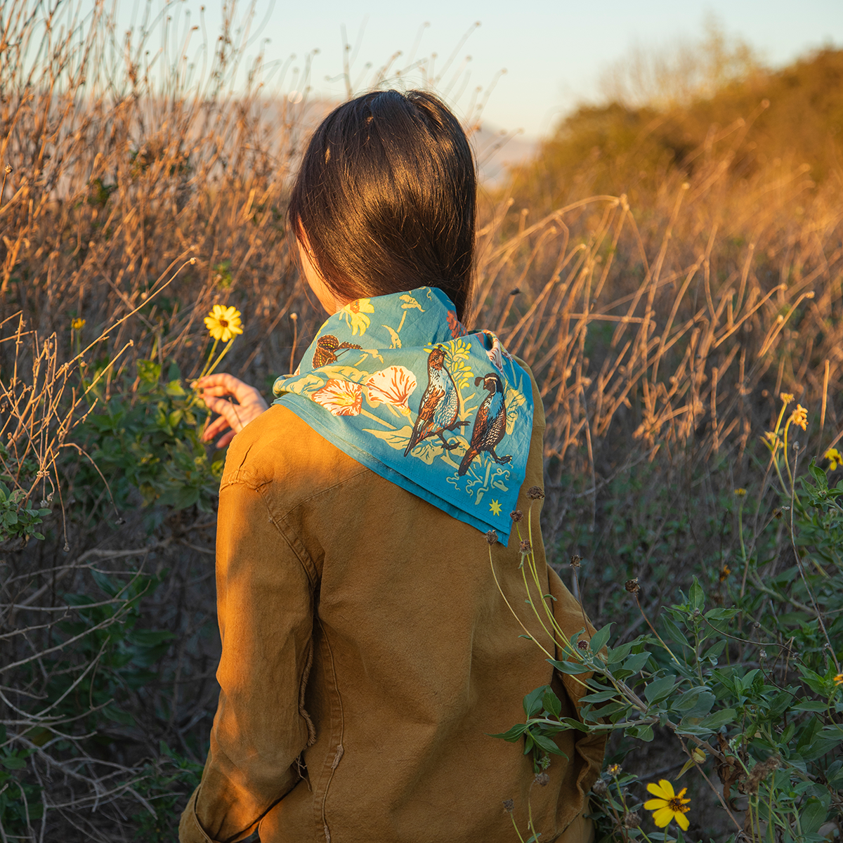 XL Organic Fair Trade Bandana: Channel Islands