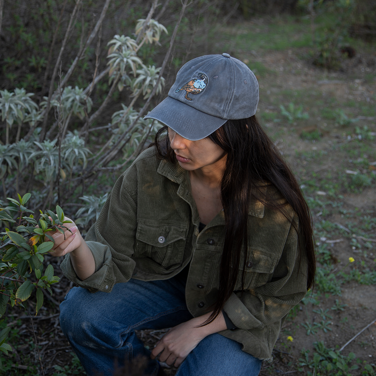 Ball Cap: Quail