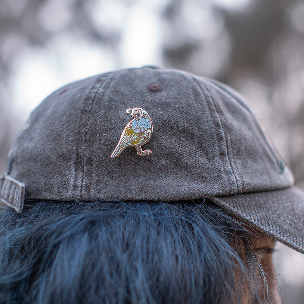 Enamel Pin: California Quail