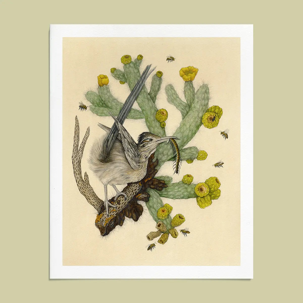 A fine art giclée print featuring a watercolor illustration of flora and fauna of Saguaro National Park, including a roadrunner, cholla cactus, and bees.