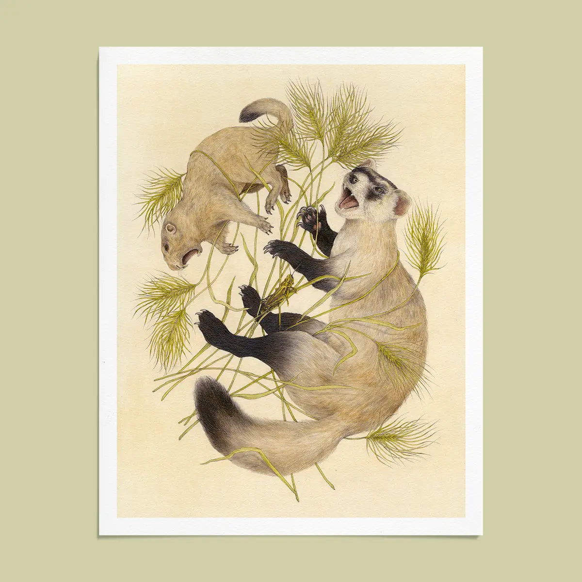 Fine Art Giclee Print: Shrub-Steppe Scientific Illustration