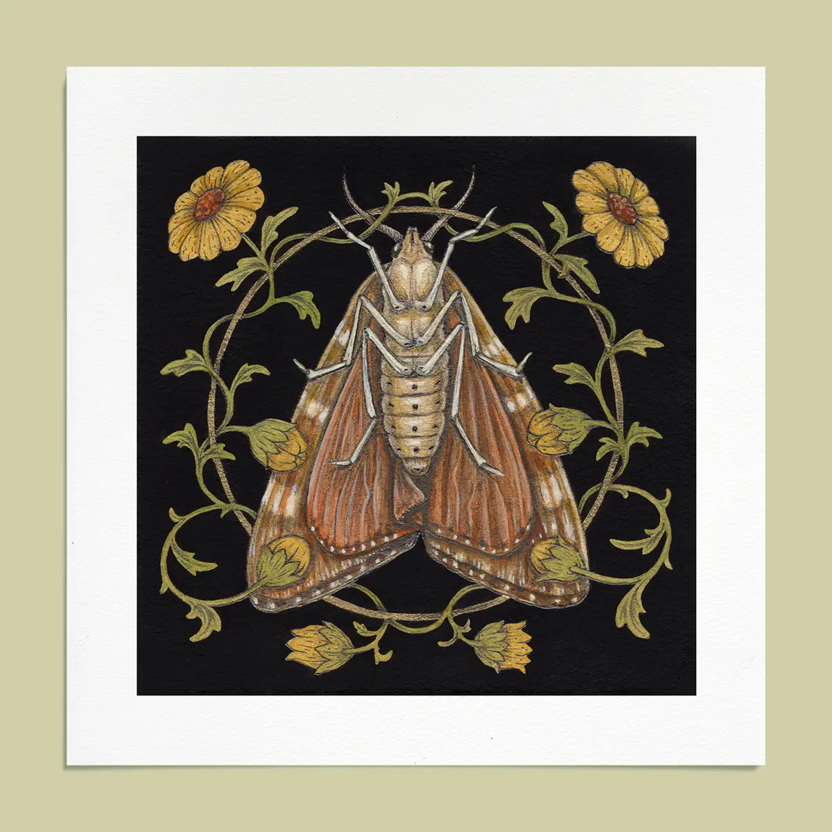 Fine Art Giclee Print: Moth