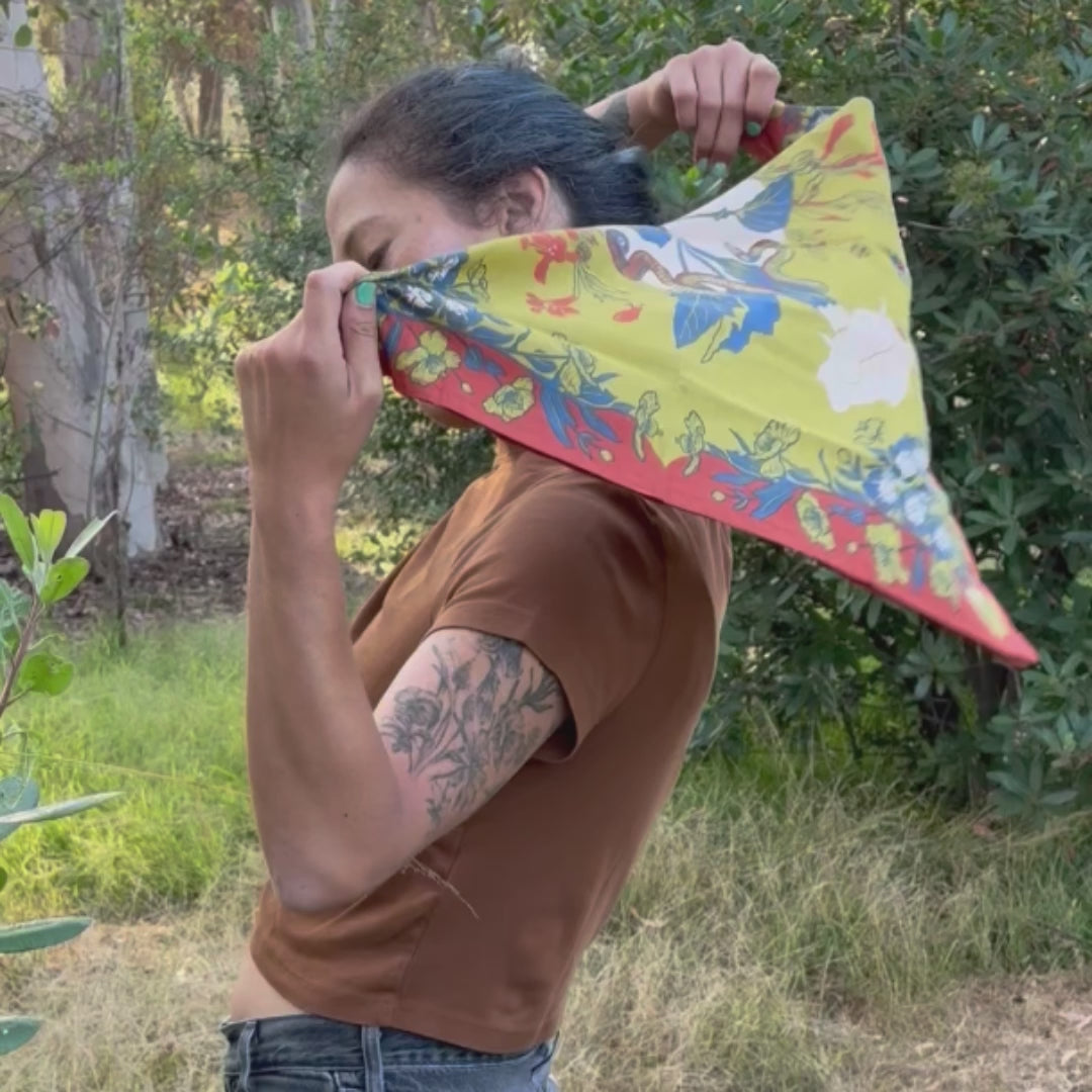 Organic Fair Trade Bandana: San Gabriel Foothills